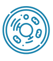 Encapsulation Technology Icon