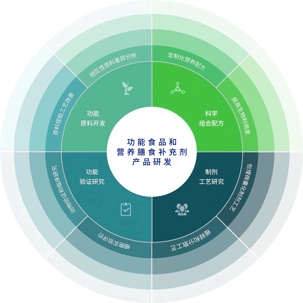 R&D Direction Circular Diagram